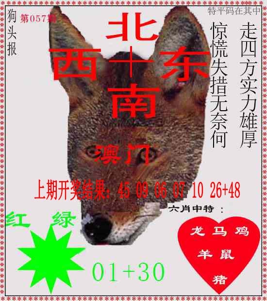057期狗头报[图]
