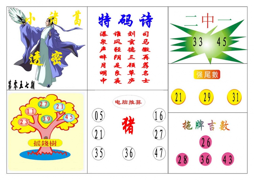 057期小诸葛[图]