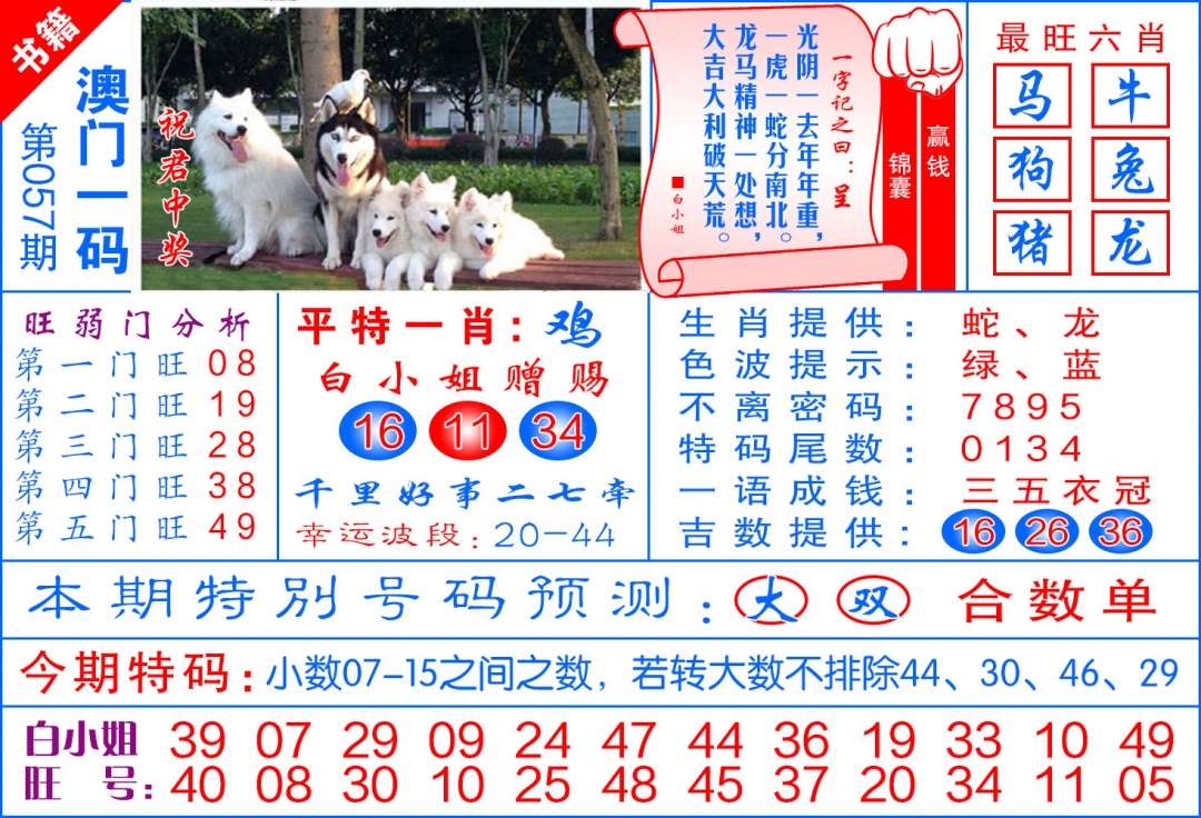 057期澳门飞龙宝典[图]