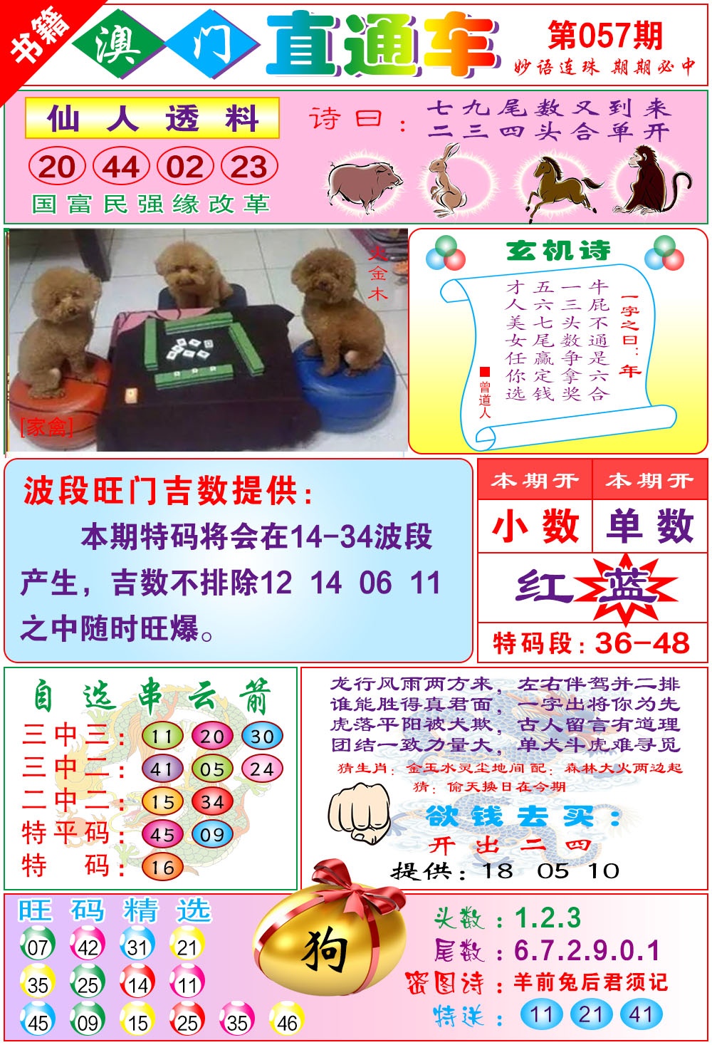 057期白姐直通车[图]