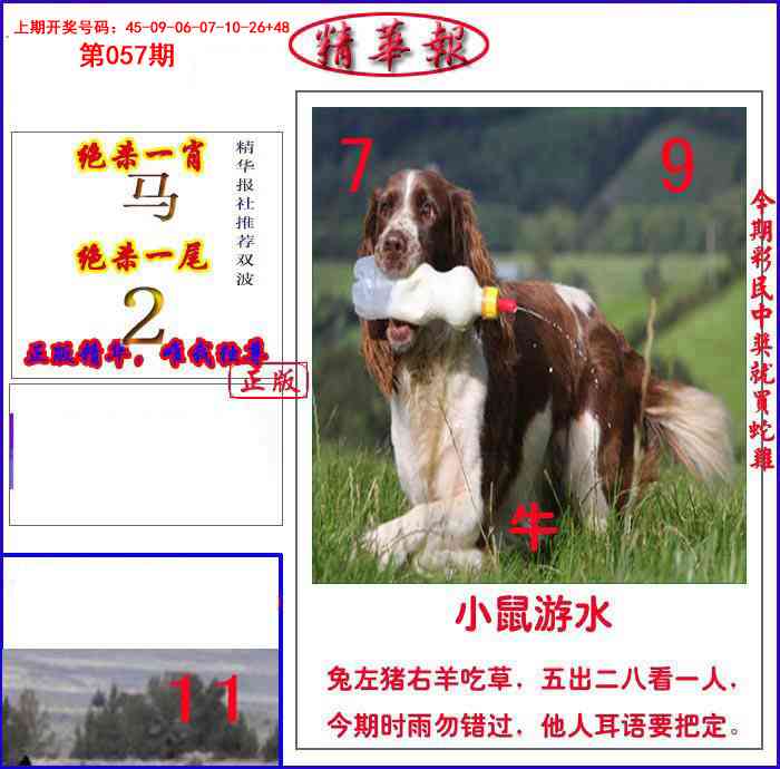057期新精华报报[图]
