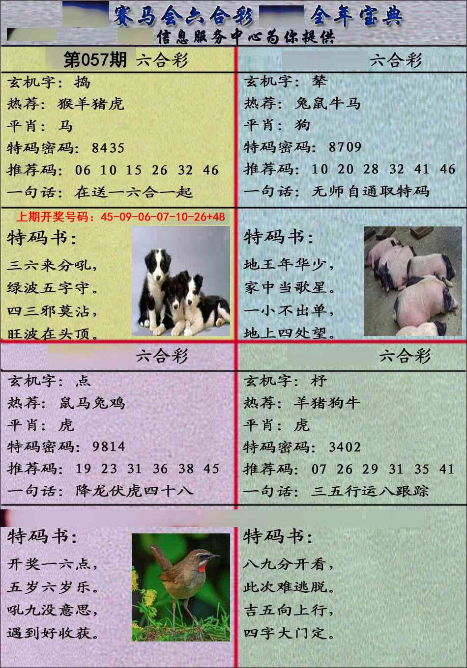 057期宝典报[图]