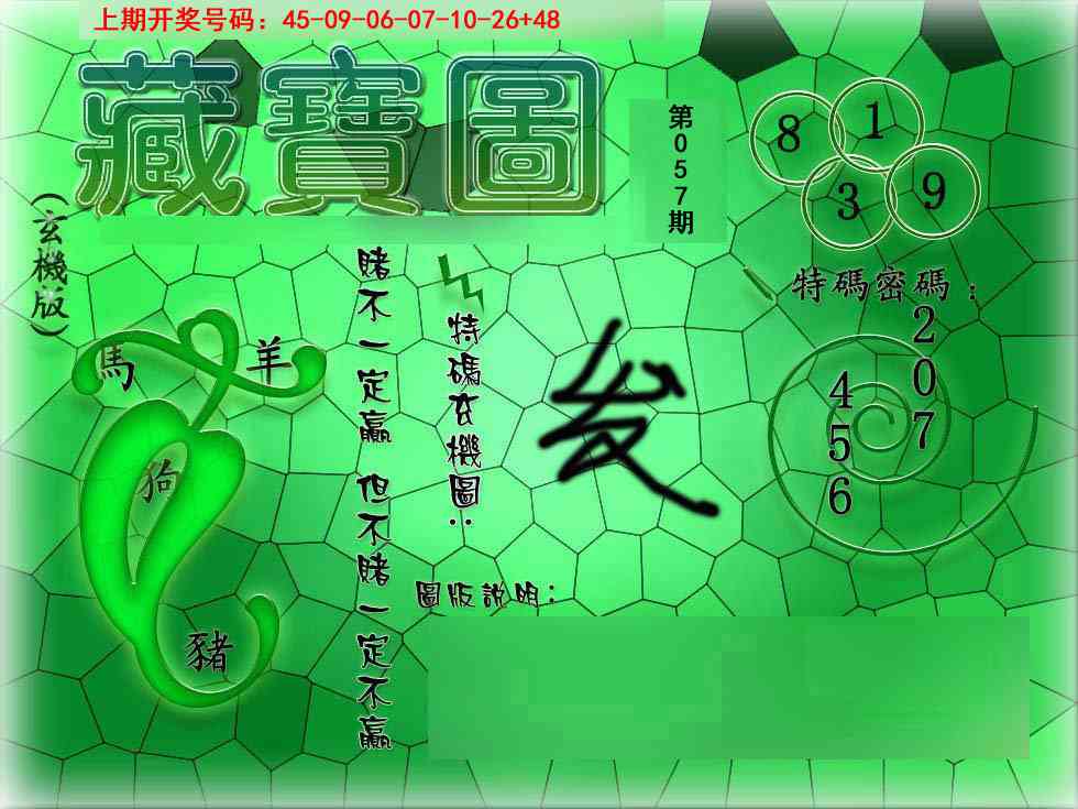057期九龍玄机报[图]