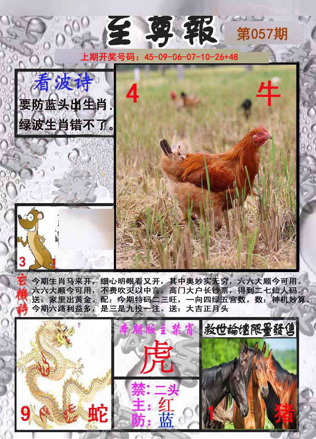 057期至尊报[图]