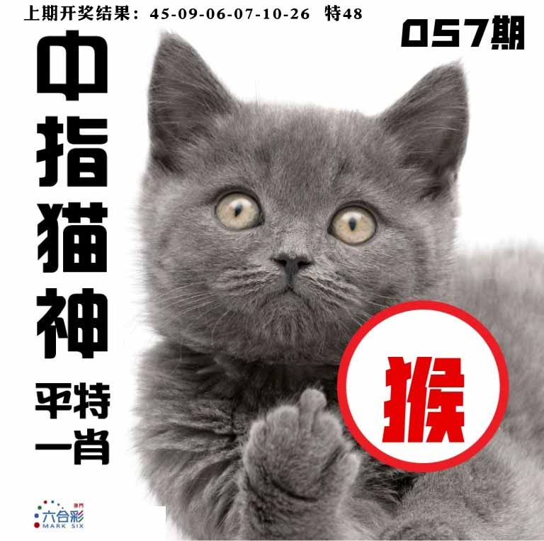 057期中指猫神[图]