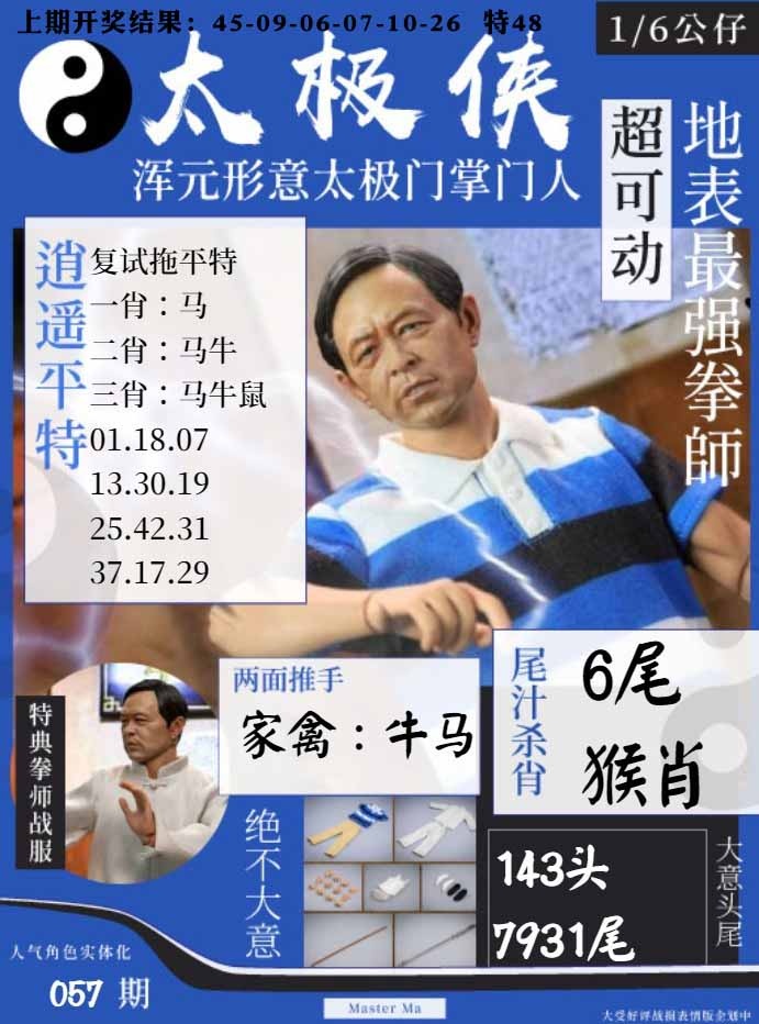 057期太极侠[图]